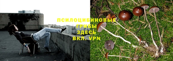 МДПВ Алзамай