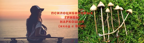 МДПВ Алзамай