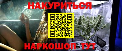 прущие грибы Канаш