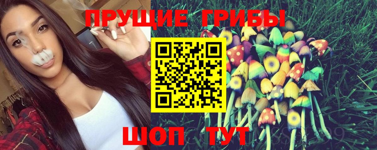 Ленинск-Кузнецкий  Галлюциногенные грибы Cubensis  Вход с VPN 
